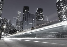 Enterprise Networking